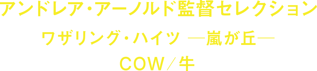 アンドレア・アーノルド監督セレクション 『ワザリング・ハイツ　〜嵐が丘〜』(11)  『COW／牛』(21)