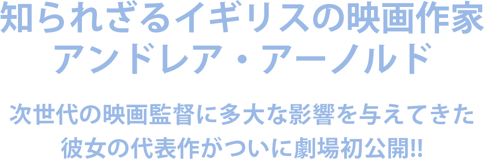 知られざるイギリスの映画作家アンドレア・アーノルド 次世代の映画監督に多大な影響を与えてきた彼女の代表作がついに劇場初公開！！