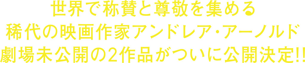 世界で称賛と尊敬を集める稀代の映画作家アンドレア・アーノルド 劇場未公開の2作品がついに公開決定!!