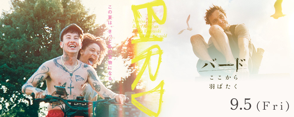 バード　ここから羽ばたく